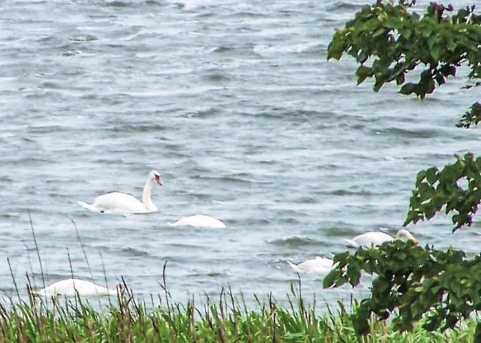 Beautiful In With Wifi Nyaraló